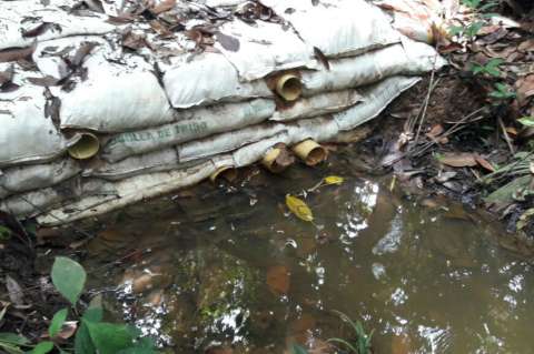 Proceso sancionatorio a Terpel por vertimientos en caño de Barrancabermeja