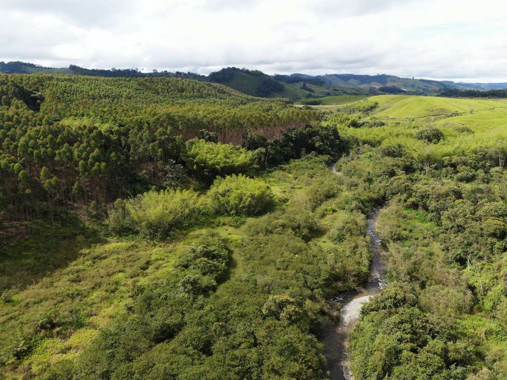 COLOMBIA: UN PAÍS DE VOCACIÓN FORESTAL