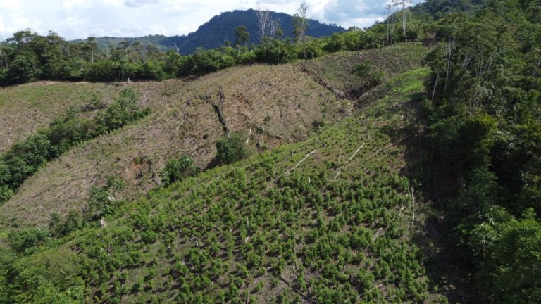 Las imágenes muestran puntos deforestados al interior del Parque Nacional Natural Paramillo, en los departamentos de Córdoba y Antioquia.