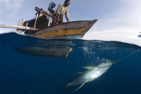 Nivel y temperatura de los mares alcanzaron en 2018 cifras récord por el cambio climático