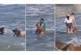 Así fue el rescate del perrito que fue arrastrado mar adentro en Argentina (video)
