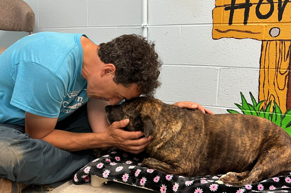 Foto del refugio Giles County Animal Shelter donde actualmente se encuentra la perrita.