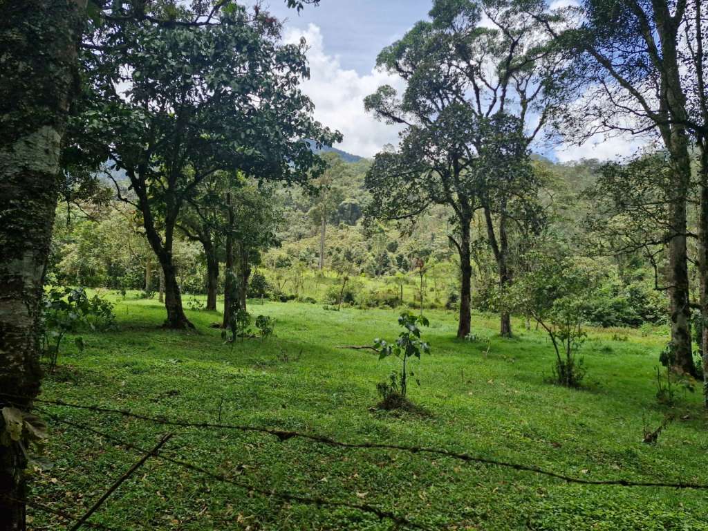 La zona comprende un poco más de 1.000 hectáreas de bosques densos.