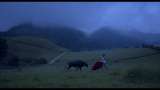 Una película sobre un torero al que le cuesta matar