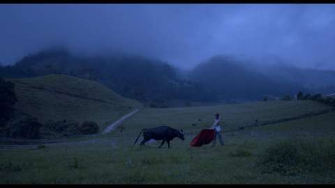 Una película sobre un torero al que le cuesta matar