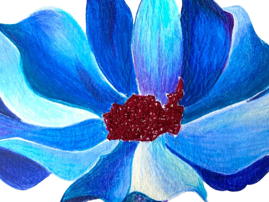 En la serie “Viceversa”, de María Paula Suárez, “lápices de colores dibujan los pétalos de flores que representan la feminidad y el paso del tiempo, mientras en su interior sus pistilos cosidos con hilos parecen recobrar heridas que quieren sanar”.