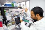 Sin inversión en ciencia no hay futuro