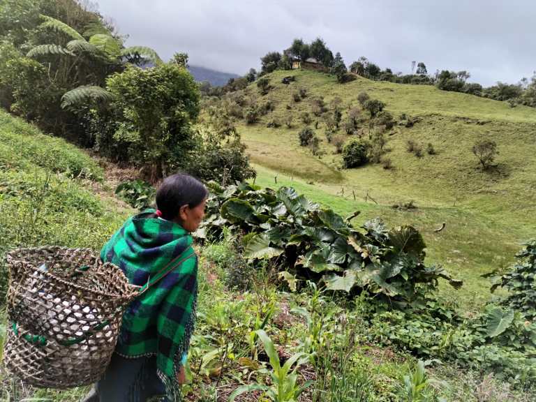 Indígenas del Putumayo: cultivar el alimento y la palabra inga 