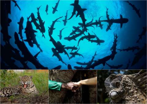 Les proponemos un pacto por nuestra salud para el 2026: cuidar la naturaleza