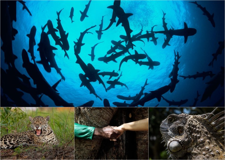 Les proponemos un pacto por nuestra salud para el 2026: cuidar la naturaleza
