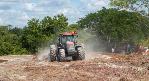 El reto de los jóvenes rurales: acceso a tierras para un futuro en el campo