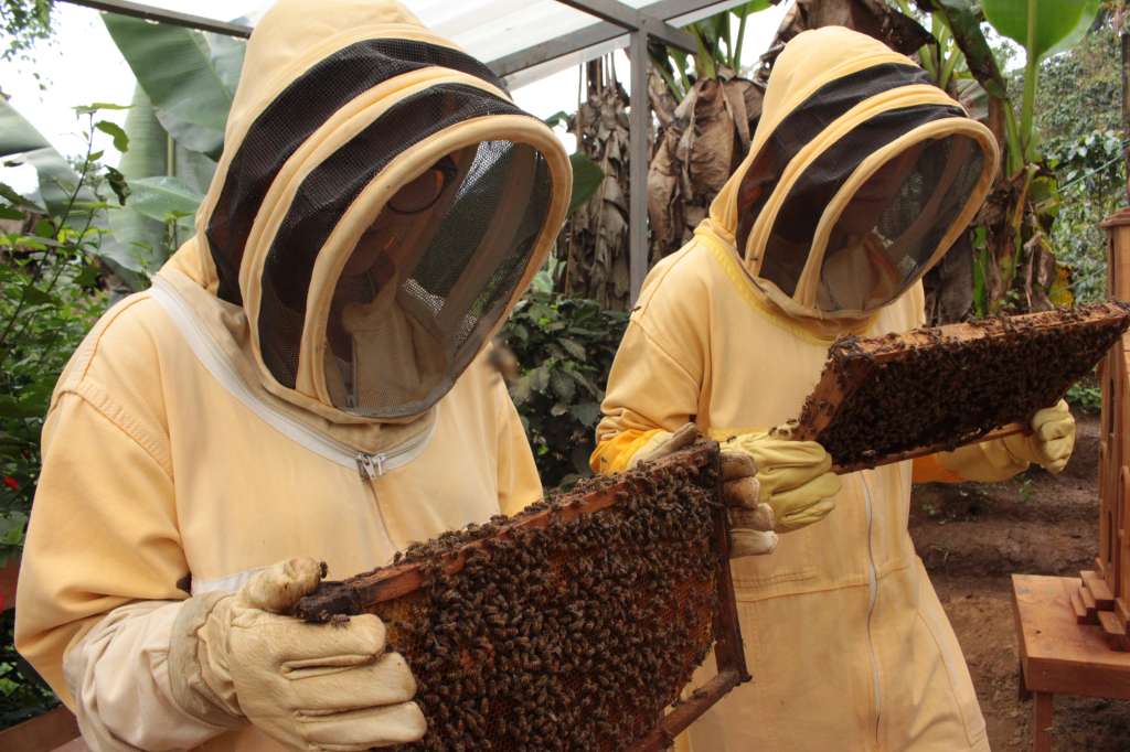 El Tour de las abejas es una experiencia de agroturismo que se realiza en jardín, Antioquia.