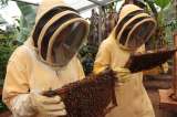 Viajar a la raíz: el panorama del agroturismo en Colombia