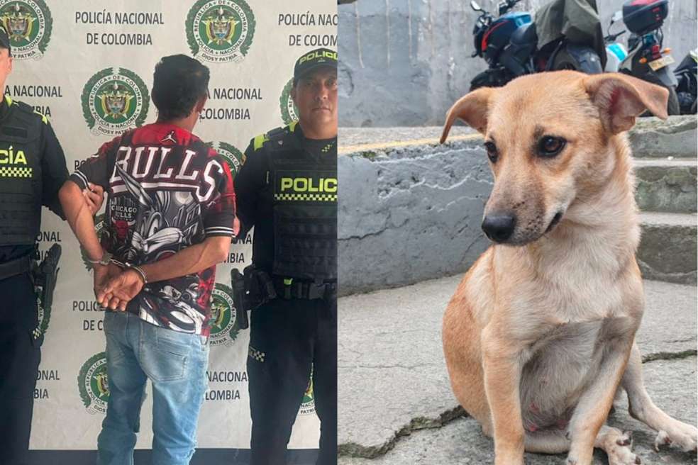 Imputan a dos hombres por delitos de maltrato animal en Atlántico y Cundinamarca