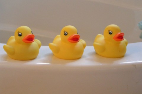 Cuidado, los patitos de plástico en la bañera pueden ser nocivos