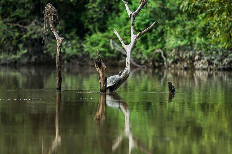 Orocue Casanare