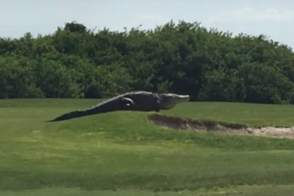 / Youtube: Golf.com