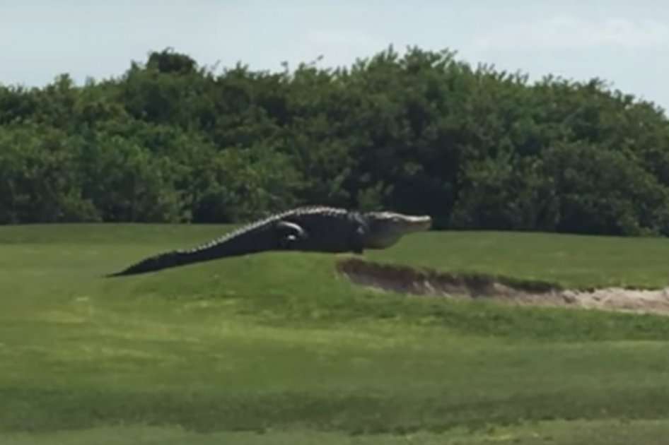 / Youtube: Golf.com