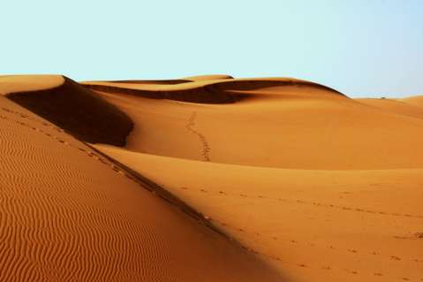 El tratamiento que convierte la arena del desierto en tierra fértil