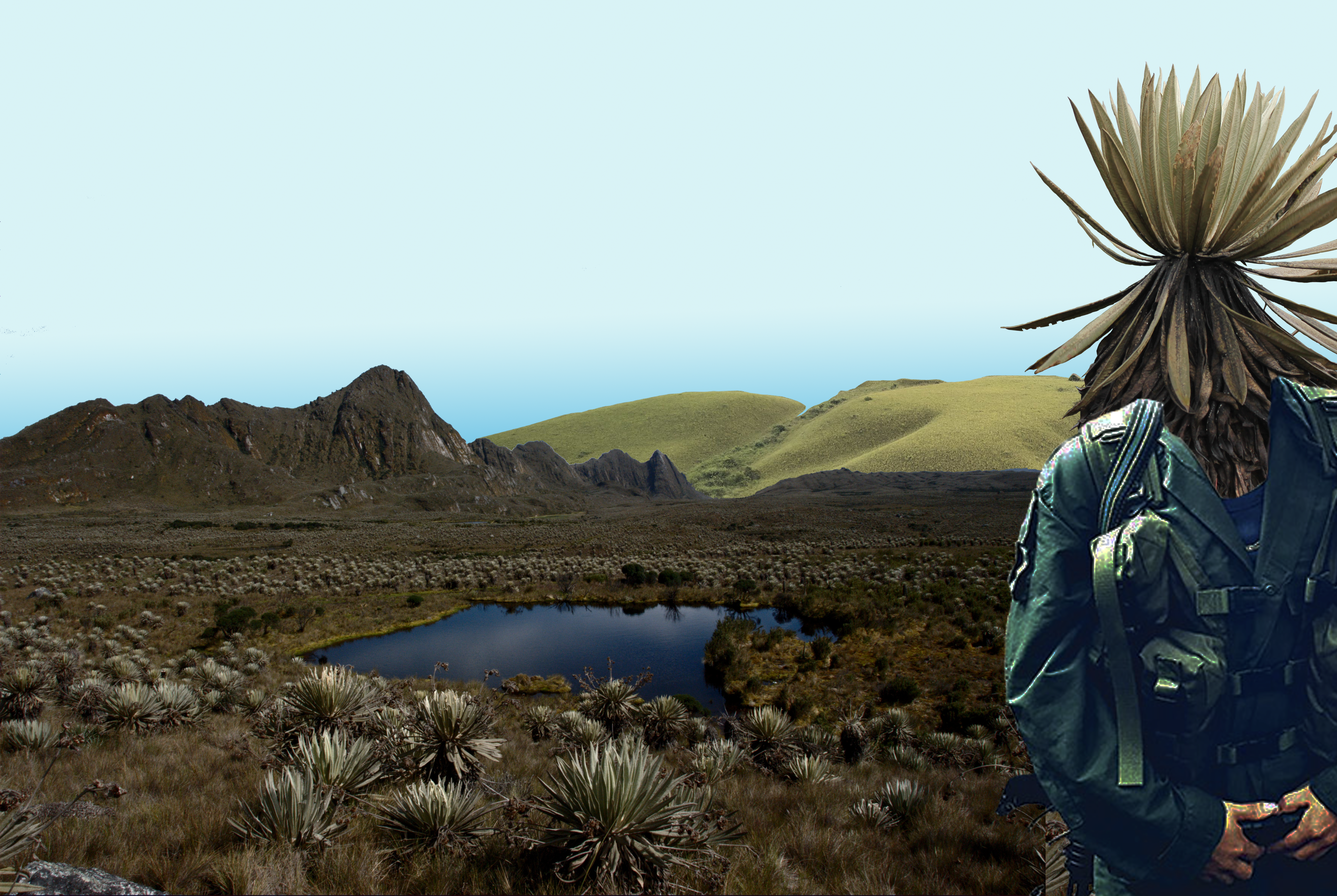 Collage de Lisa Colorado que ilustra el relato corto titulado "Terrenos territorios poblaciones" escrito por Manuela Marín.