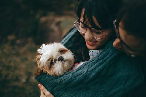¿Cómo decirle a su perro que lo quiere en su lenguaje?