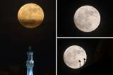 Luna de Ciervo 2024: las mejores imágenes de este evento astronómico