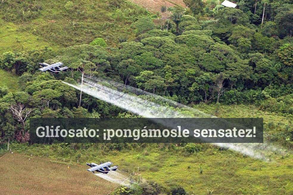"Glifosato: ¡pongámosle sensatez!" es la columna de opinión de la periodista María Isabel Rueda publicada el domingo en el periódico El Tiempo. / Archivo El Espectador