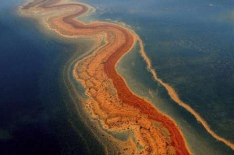 México restaura con bacterias los ecosistemas acuáticos dañados por petróleo