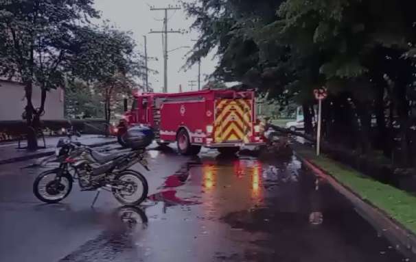 Poe las fuertes lluvias del martes 5 de noviembre, autoridades confirmaron la caída de un árbol en la localidad de Engativá, en la carrera 69H con calle 86.