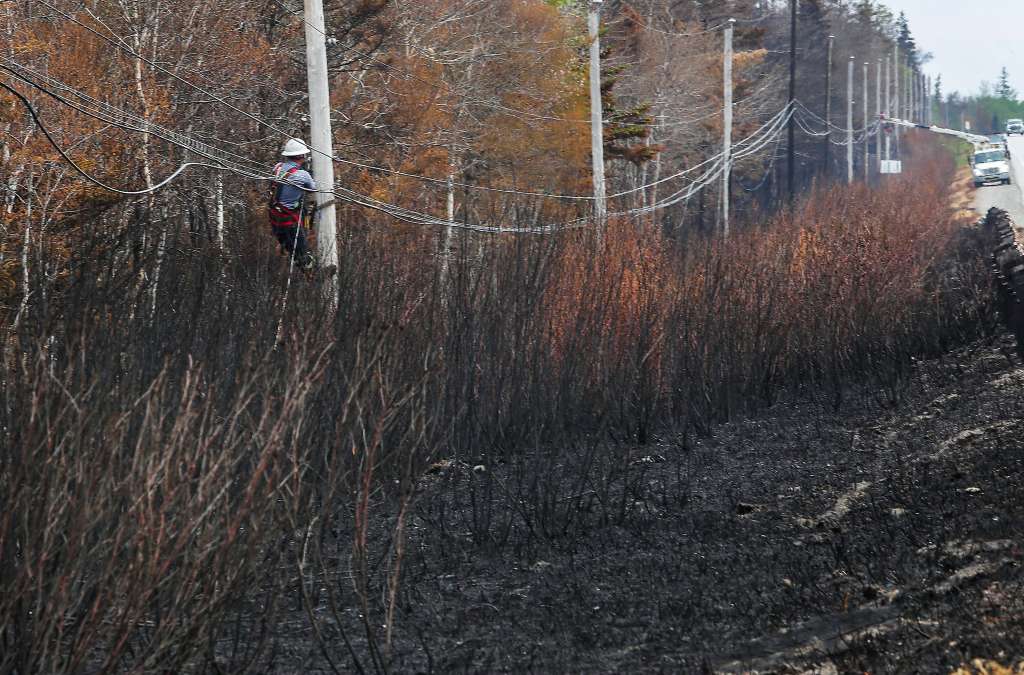 Barrington (Canada), 08/06/2023.- A handout photo made available Communications Nova Scotia showing utility workers replacing fiber optic lines following damage from the Barrington Lake Wildfire in Barrington, Nova Scotia, Canada, 08 June 2023 (issued on 09 June 2023. Smoke from the ongoing Canadian wildfires continues to impact air quality conditions across multiple US cities. (Incendio) EFE/EPA/COMMUNICATIONS NOVA SCOTIA HANDOUT
NO ALTERATIONS OTHER THAN CROPPING HANDOUT EDITORIAL USE ONLY/NO SALES
