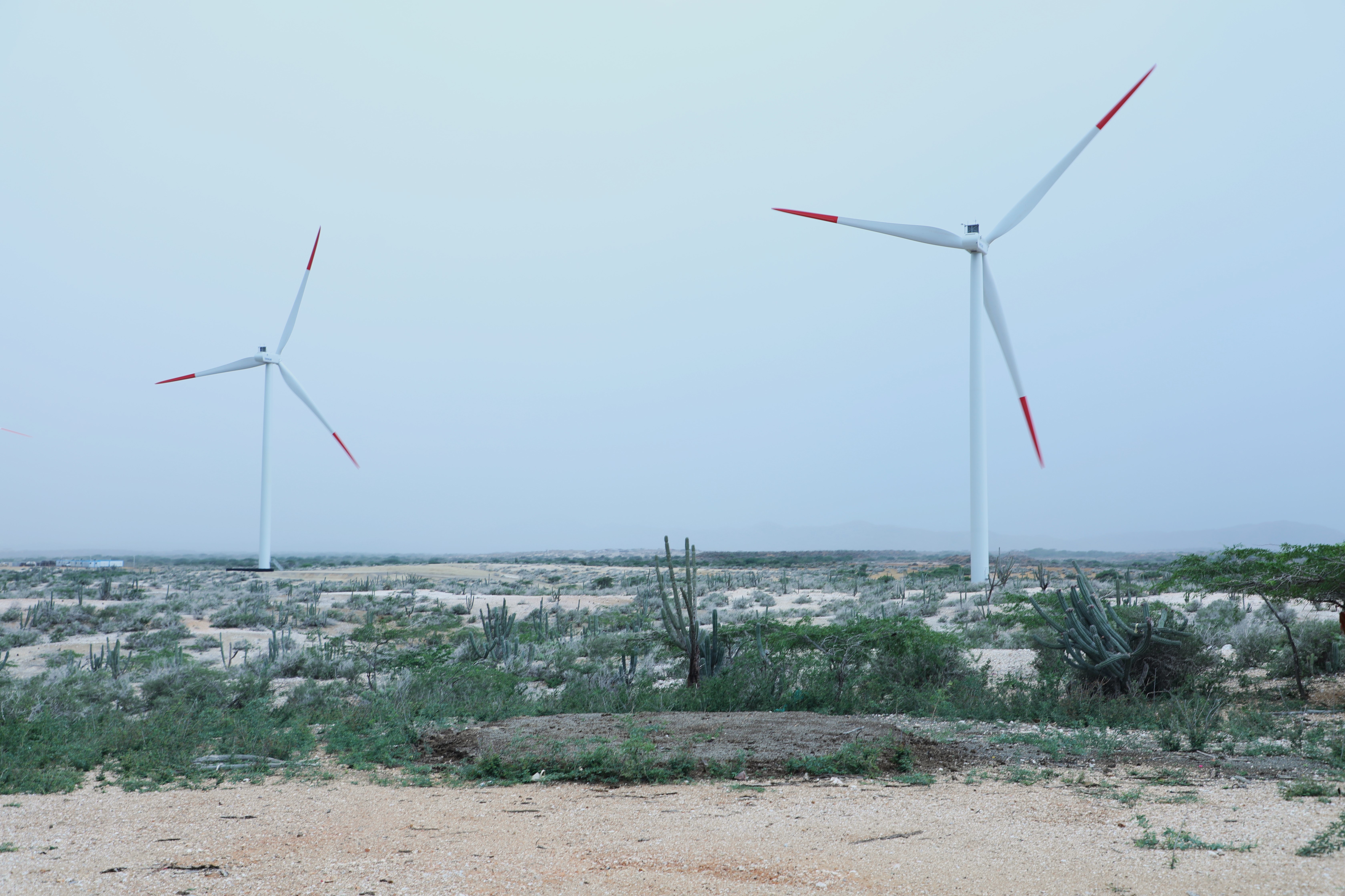 Energía eólica en La Guajira.