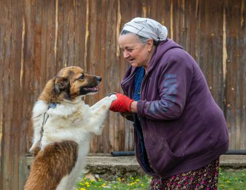 La terapia asistida con perros gana espacio en hogares de adultos mayores