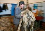 Noruega prohibirá todas sus granjas productoras de pieles animales antes de 2025