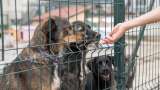 ¿Qué son los centros de bienestar animal y por qué son importantes?