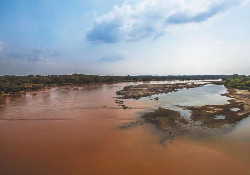 La muerte de bagres se ha registrado en los ríos Cauca y Nechí. / Cortesía