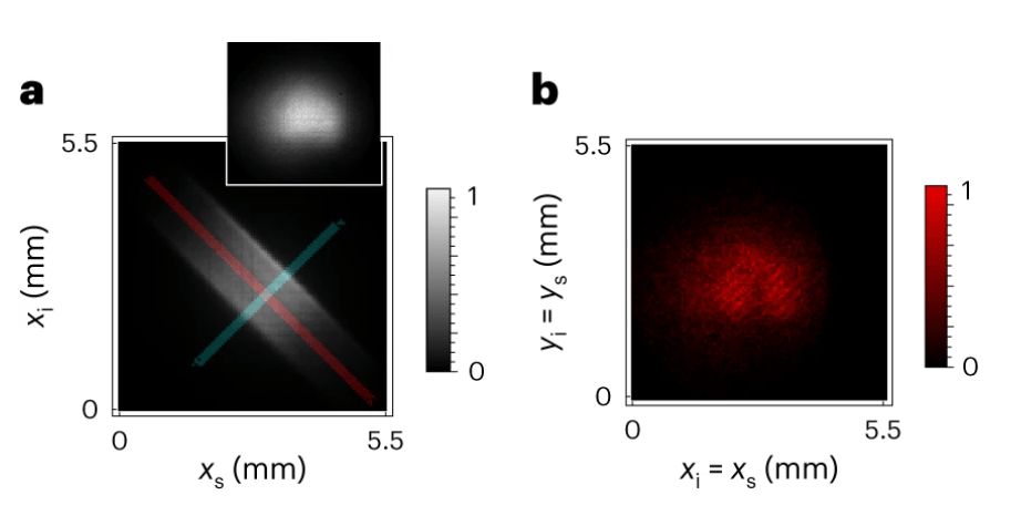 Los investigadores crearon un sistema de alta tecnología para tomar las fotografías, algo que reduce sustancialmente el tiempo que se tardan en observar el entrelazamiento.