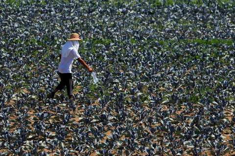 Trabajar al aire libre es cada vez más peligroso y menos productivo, ¿por qué?