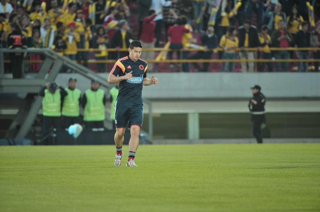 Volante de la selección Colombia, durante el partido de despedida en el estadio El Campin, a los jugadores que participarán en el mundial de Brasil 2014.