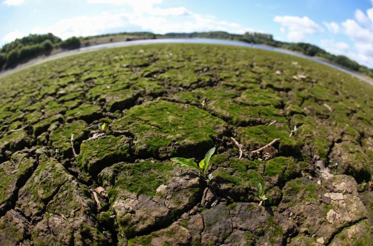 ¿«Fenómeno del Niño» o «fenómeno de El Niño»?