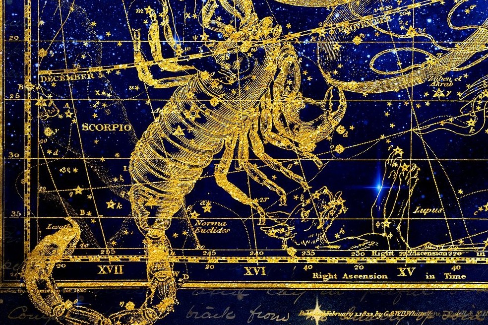 Escorpio, escorpión, signo zociacal. Signo del Zodiaco