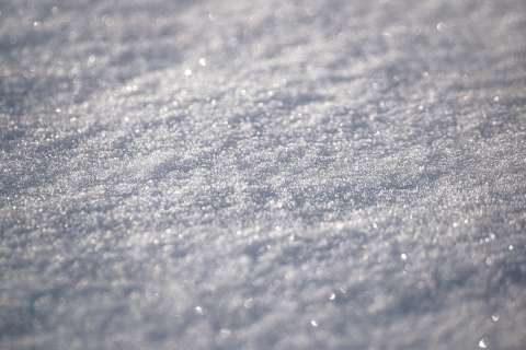 Los microbios que “despertaron” tras 40.000 años atrapados en el hielo