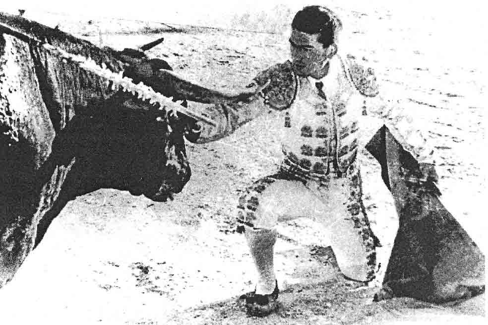 José Miguel Cárdenas en uno de sus frecuentes enfrentamientos con los toros. Valor y locura. / Archivo personal