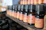 Los aceites esenciales son una alternativa para combatir mosquitos