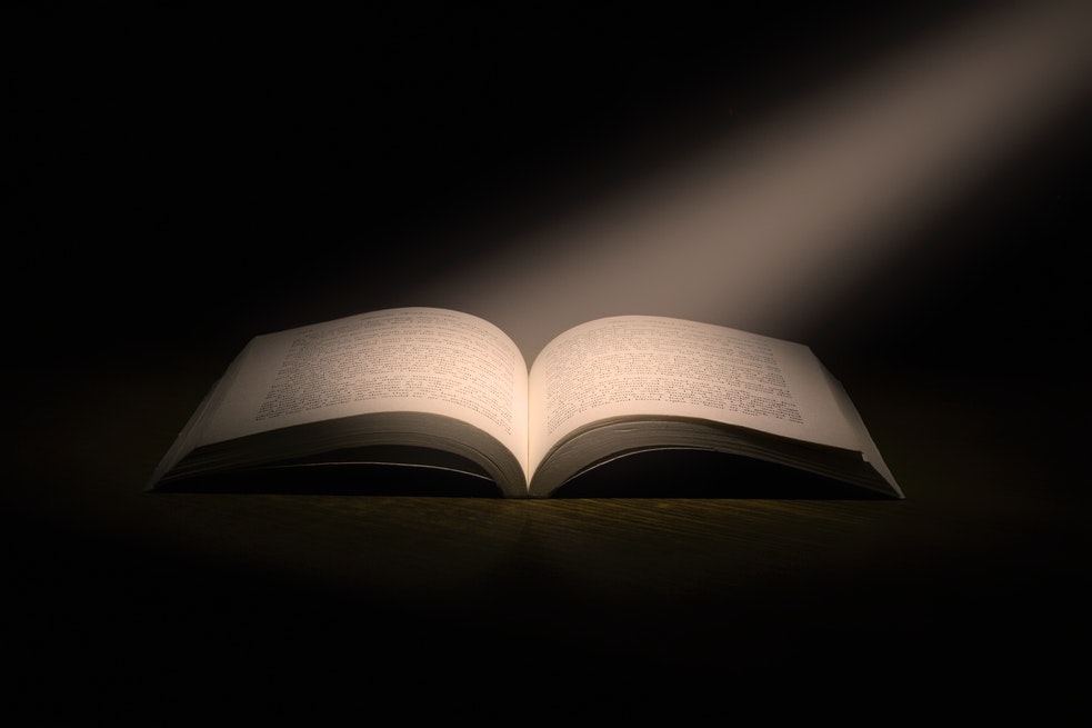 “Cada vez que absorbía la esencia de un libro, su alma se elevaba, su espíritu volaba y su corazón se aceleraba, convirtiendo su organismo en una catarsis inesperada, en donde corría sin moverse, observaba sin mirar y escuchaba sin oír; y se transportaba a un lugar sublime, excelso y glorifico, en donde sentía el placer sin necesidad de otro cuerpo".
