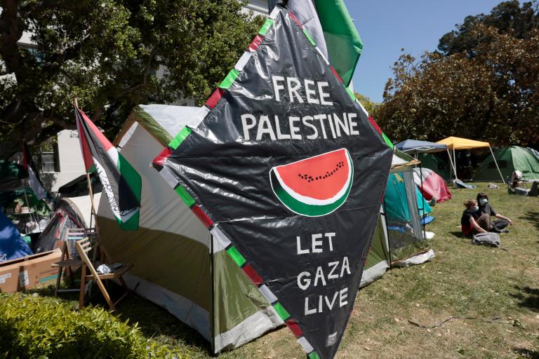 No es solo Gaza: los estudiantes en EE. UU. se manifiestan por más causas sociales