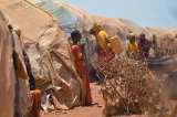 ONU alerta del riesgo de "muertes masivas" por hambruna en África