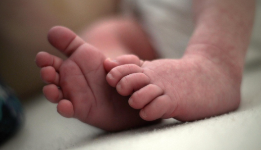 Imagen de referencia. Uno de los fetos tenía aproximadamente ocho meses de gestación y el otro tres meses.