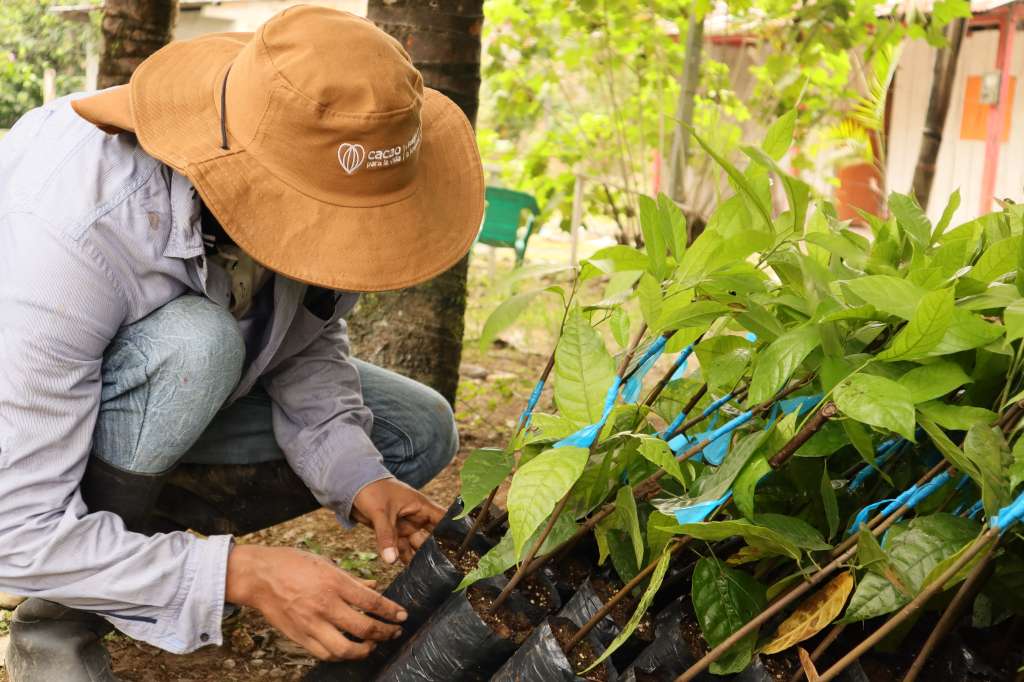 Programa Rutas PDET: Transformación integral en Caquetá, Putumayo y Tumaco