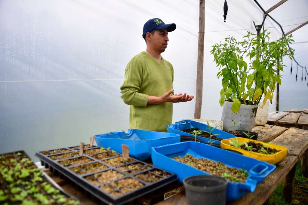 Invernadero financiado por el fondo del agua y, en el cual, los Avellaneda cultivan especies nativas del bosque andino para preservarlo y restaurar el corredor ecológico del oso andino.