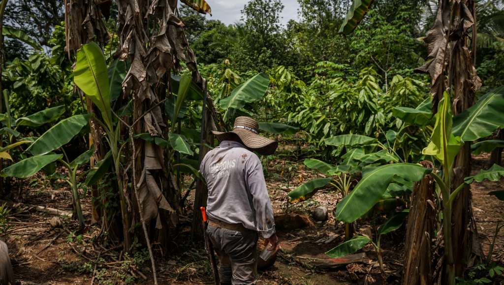 Desde 2007, al menos 700 familias en Puerto Boyacá han invadido haciendas de narcotraficantes para cultivar.